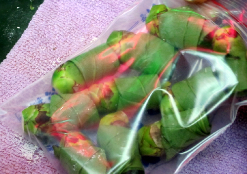 betel nuts packet.jpg